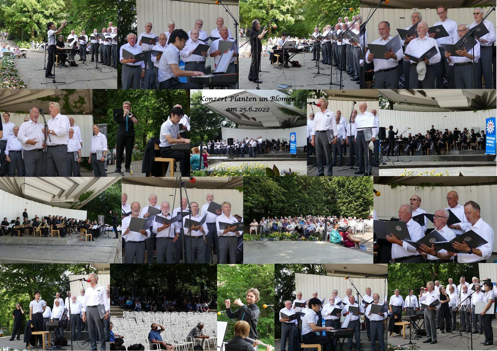 Collage Konzert in Planten un Blomen 25.6.2022